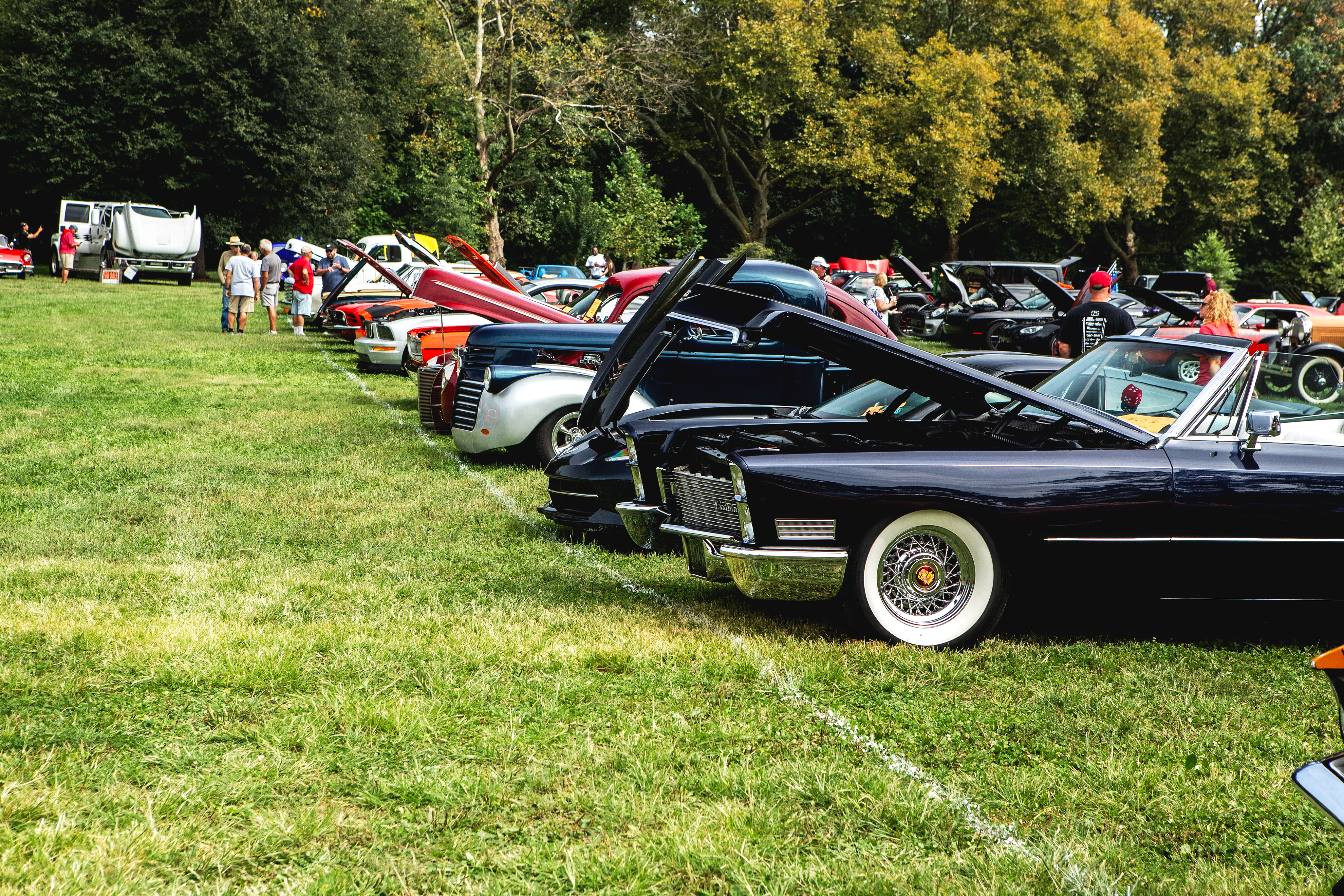 Cars gathered at a local car show